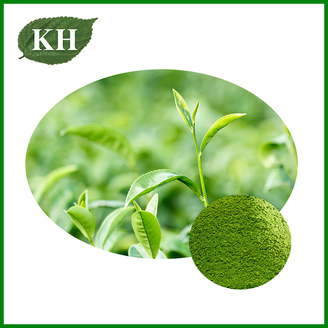 Instant Green Tea Powder